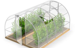 теплица из поликарбоната